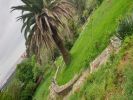 Vente Terrain Tanger Vieille montagne 20000 m2