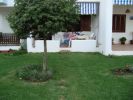 Location vacances Appartement Tetouan Cabo negro 55 m2 2 pieces