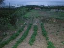 Vente Terrain Tetouan Mdiq