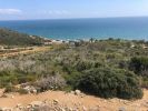 Vente Terrain Tetouan Cabo negro