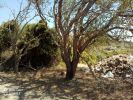 For sale Land Tanger Malabata 4827 m2 Morocco - photo 3